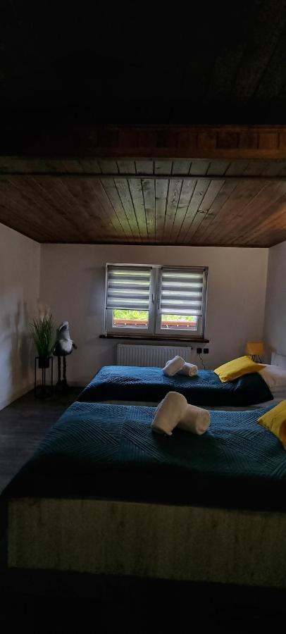 Apartament Elbrus Czyrna Szczyrk Wypozyczalnia Rowerow E-Bike Czyrna Szkola Narciarska & Wypozyczalnia Ski Serwis Exterior foto